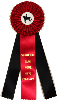 RibbonsNow Horse Show 1st Place Ribbons – 50 Blue Ribbons with Card & String